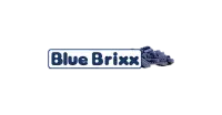 Blue Brixx